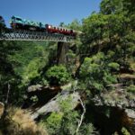 Cairns: Skyrail, Kuranda, and Rail Tour with Hotel Transfers - Authentic Insights from Reviewers
