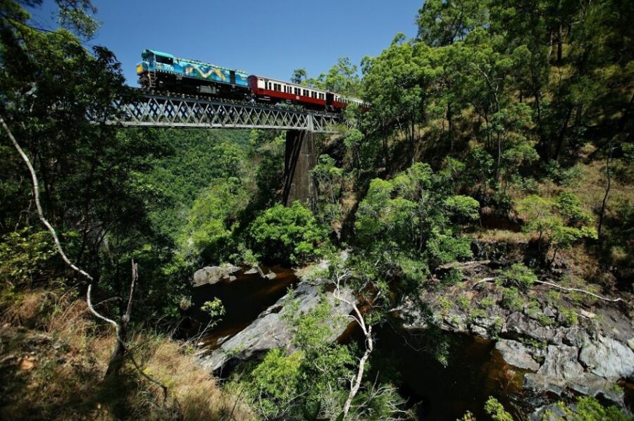 Cairns: Skyrail, Kuranda, and Rail Tour with Hotel Transfers - Authentic Insights from Reviewers