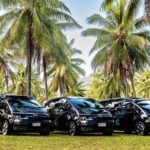 Cairns to Daintree Eco Lodge ONE WAY Private Transfer 6 pax - Detailed Breakdown of the Journey