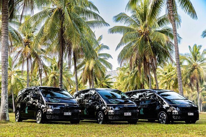 Cairns to Daintree Eco Lodge ONE WAY Private Transfer 6 pax - Detailed Breakdown of the Journey