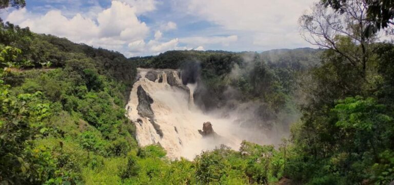 Cairns: Waterfall, Wetlands and Skyrail - Barron Falls and Aboriginal Connection