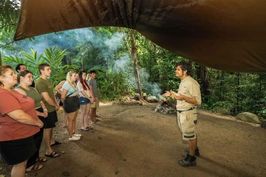 Cairns: Wildlife Habitat, Mossman Gorge, and Daintree Tour - Transportation and Logistics