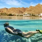 Cairo: Day Tour to the Red Sea with Lunch - The Itinerary: What You Can Expect