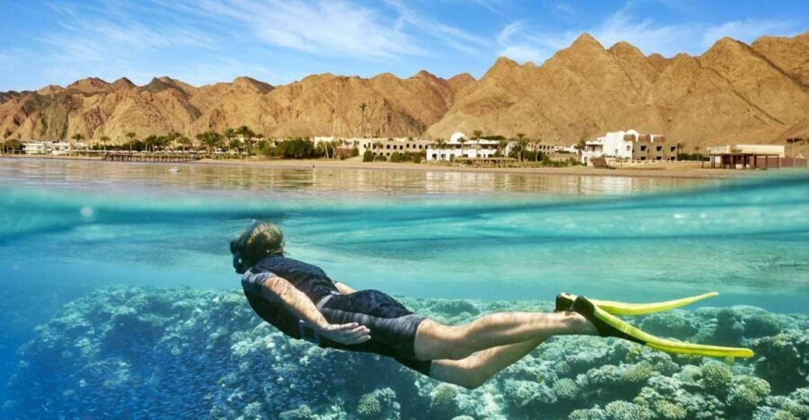 Cairo: Day Tour to the Red Sea with Lunch - The Itinerary: What You Can Expect