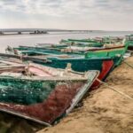 Cairo: Fayoum, Wadi El Rayan, and Wadi al Hitan 4x4 Tour - What We Love About This Tour