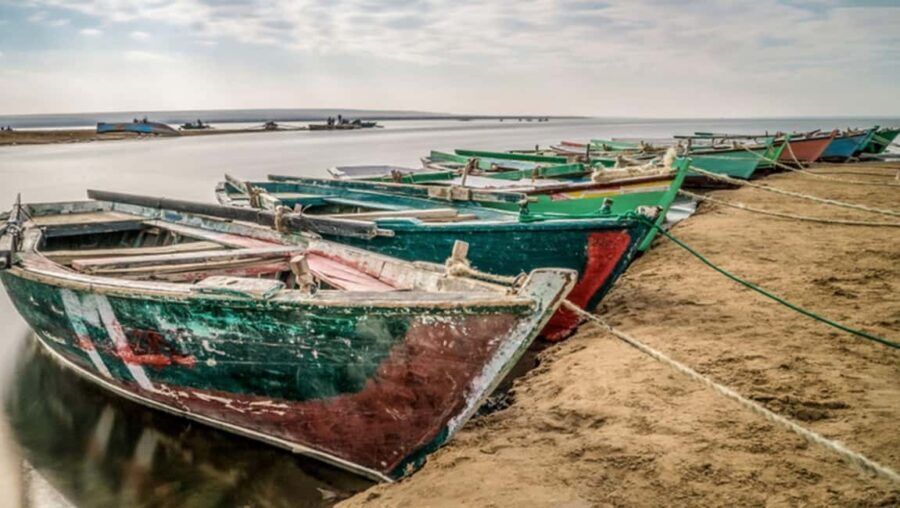 Cairo: Fayoum, Wadi El Rayan, and Wadi al Hitan 4x4 Tour - What We Love About This Tour