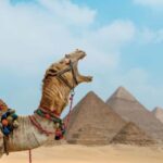 Cairo: Giza Pyramids, Sakkara and Dahshur Private Day Tour - Practicalities and Considerations