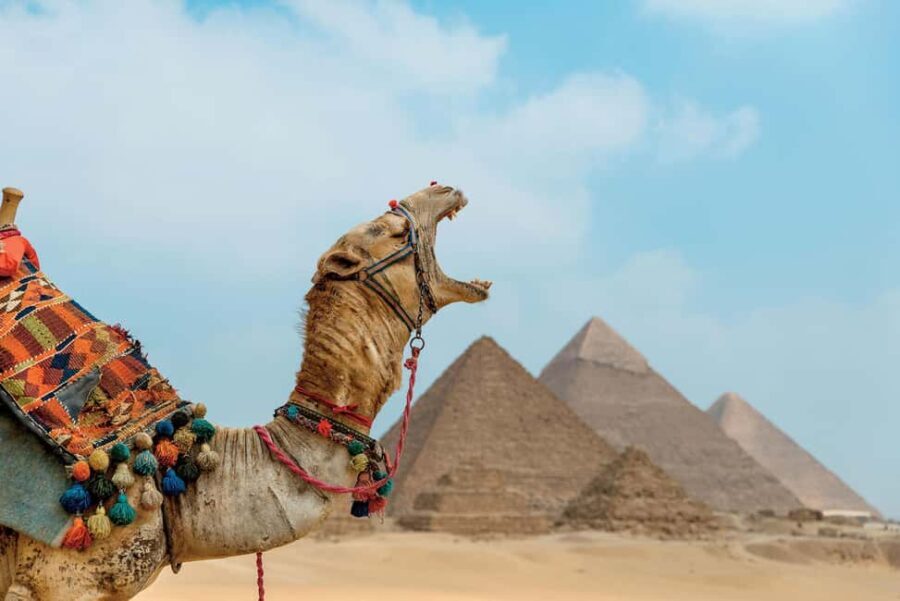 Cairo: Giza Pyramids, Sakkara and Dahshur Private Day Tour - Practicalities and Considerations