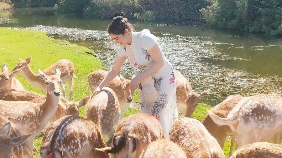 Cairo: Guided Day Trip to Africa Safari Park with Lunch - Scenic River Lunch and Cultural Flavors