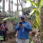 Cairo: Having Breakfast At Green Farm - The Practicalities: Transportation, Pricing, and Inclusions