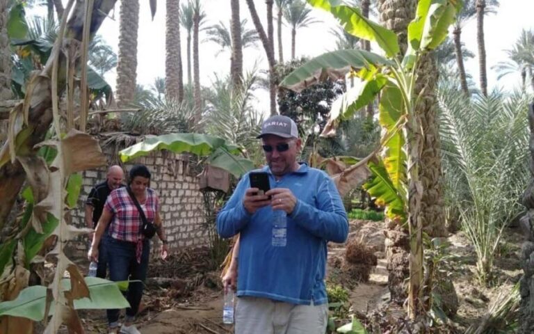 Cairo: Having Breakfast At Green Farm - The Practicalities: Transportation, Pricing, and Inclusions