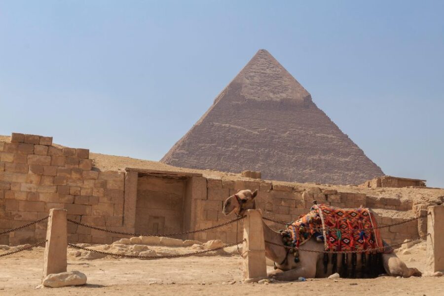 Cairo: Pyramids, Museum, Bazaar Luxury trip & Dinner Cruise - Diving into Egypt’s Artistic Legacy at the Egyptian Museum