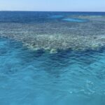 Cairo to Red Sea: VIP Yacht Cruise, Snorkeling & Lunch - Who Would Love This Tour?