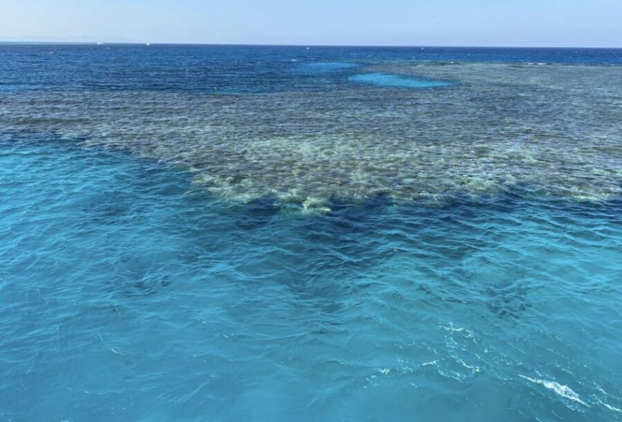 Cairo to Red Sea: VIP Yacht Cruise, Snorkeling & Lunch - Who Would Love This Tour?