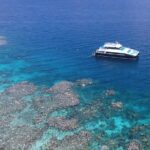 Calypso Outer Great Barrier Reef Cruise from Port Douglas - A Closer Look at the Experience