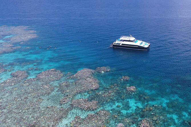 Calypso Outer Great Barrier Reef Cruise from Port Douglas - A Closer Look at the Experience