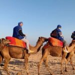 Camel Ride In Agafay Desert - The Camel Ride Experience