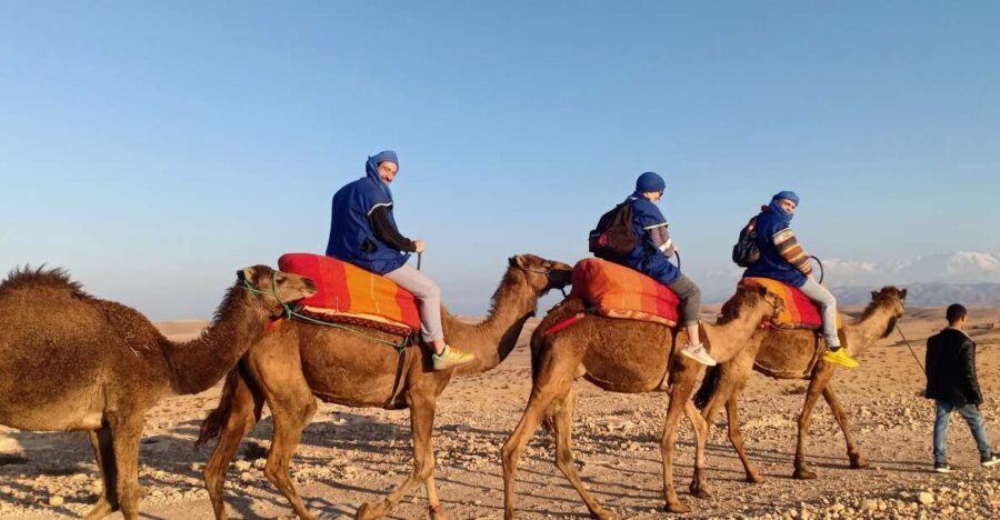 Camel Ride In Agafay Desert - The Camel Ride Experience