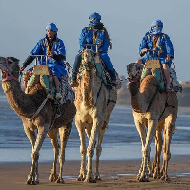 Camel Ride in Essaouira - Why This Tour Works