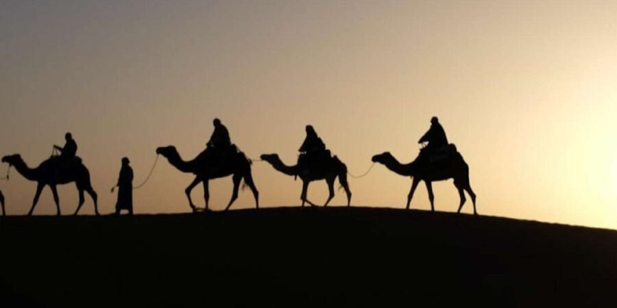 Camel Ride in the Palm Grove of Marrakech - What You Can Expect from the Tour