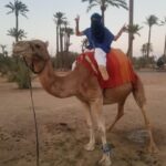 Camel ride tour in Palmerie of Marrakech - Practical Details and Tips