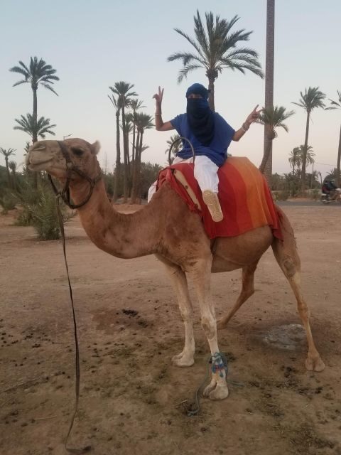 Camel ride tour in Palmerie of Marrakech - Practical Details and Tips