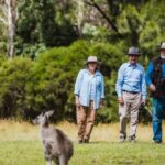 Canberra: Kangaroos and Koala Experience Tour - Value and Practical Tips