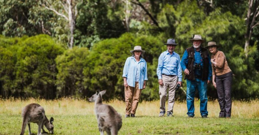 Canberra: Kangaroos and Koala Experience Tour - Value and Practical Tips
