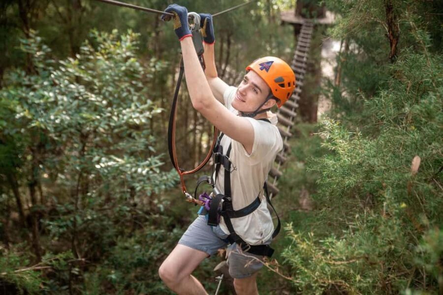 Canberra: Majura Pines Tree Ropes Course - Pricing and Value
