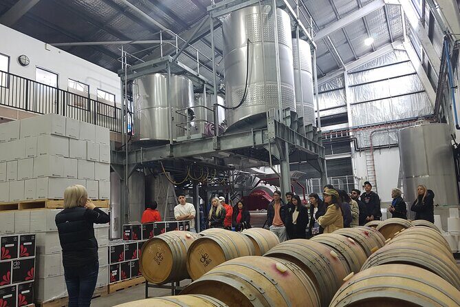 Canberra Small Group Winery Tour - Who Is This Tour Best Suited For?