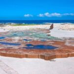 Cape Agulhas Full Day Private Tour - Itinerary Breakdown: What You Can Expect
