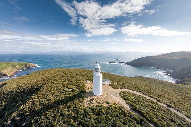 Cape Bruny Lighthouse Tour - Bruny Island - Who Should Consider This Tour?