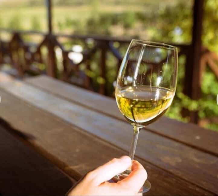Cape City Tour and Award-Winning Constantia Wineries. - Why This Tour Is Worth Considering