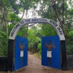 Cape Coast Castle and Assin Manso Slave River Tour - Practical Details: What to Expect and How to Prepare