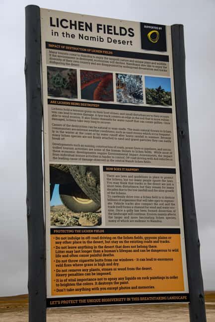 Cape Cross and Henties Bay Guided Tour SkeletonCoast Namibia - The Itinerary: What You Can Expect
