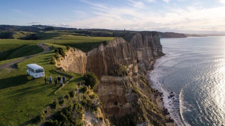 Cape Kidnappers: Gannet Colony Exclusive Sunrise Tour - Final Thoughts on the Tour’s Value