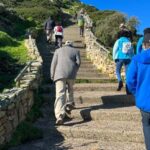 Cape Of Good Hope and Penguins viewing Private Day Tour - Why This Tour Offers Great Value