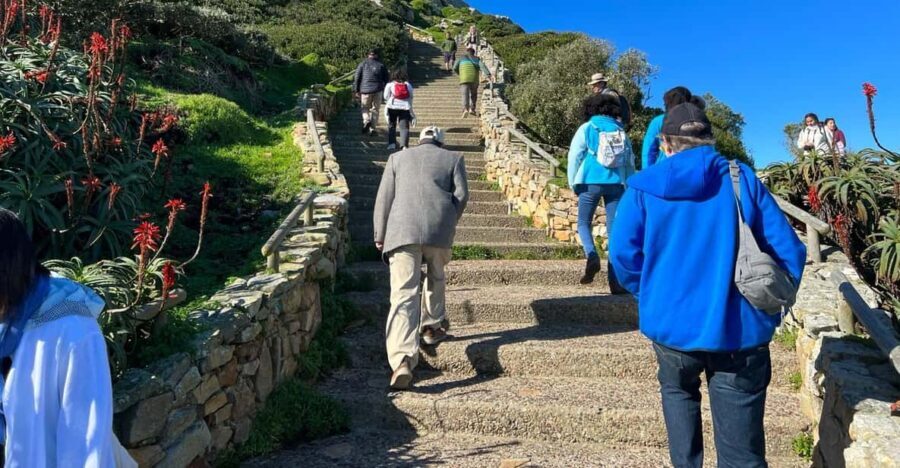 Cape Of Good Hope and Penguins viewing Private Day Tour - Why This Tour Offers Great Value