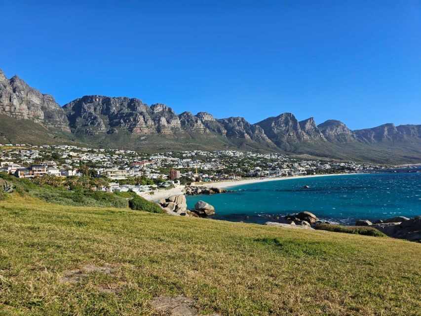 Cape of Good Hope & Penguins Shared Tour - Transportation and Group Size