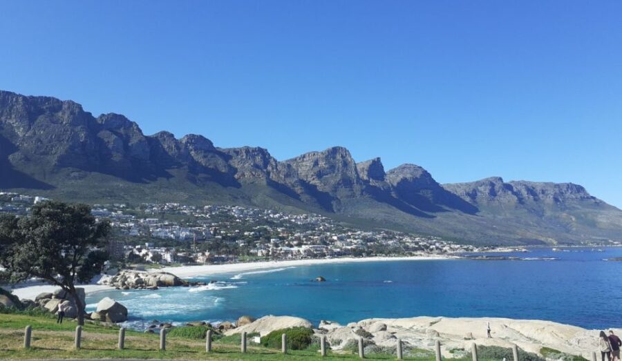Cape of Good Hope: Sightseeing and African Penguins Tour - The Food and Market Experience