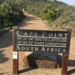 Cape Peninsula, Cape of Good Hope and Penguins Private Tour - What Makes This Tour Stand Out