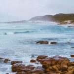 Cape Peninsula Full Day Experience - Wildlife and Marine Life: Penguins at Boulders Beach and Seal Island