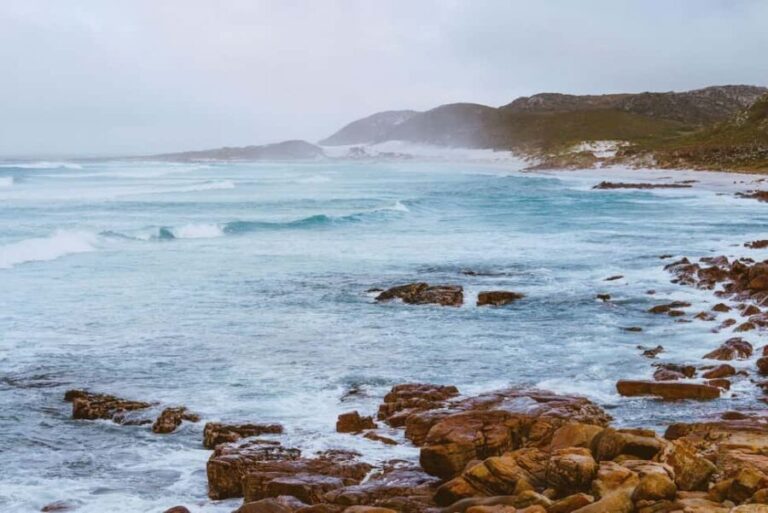 Cape Peninsula Full Day Experience - Wildlife and Marine Life: Penguins at Boulders Beach and Seal Island