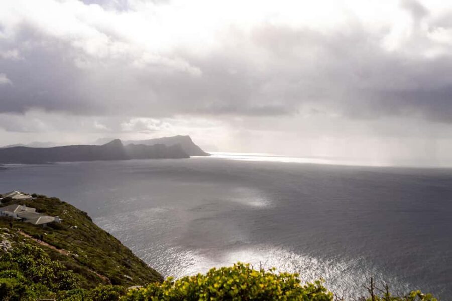 Cape Peninsula: Private Full Day Tour - What Makes This Tour Such Good Value?