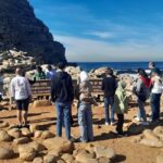 Cape Point Cape of Good Hope and Penguin small group Tour - Who Will Love This Tour?