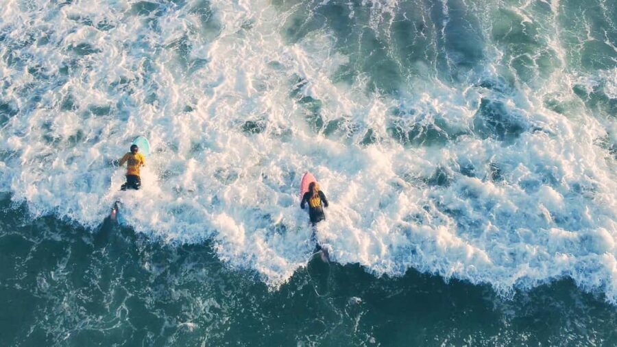 Cape Point: Private Tour incl surfing & penguins at Boulders - Who Should Consider This Tour?
