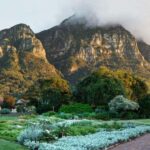Cape Road Trip, Kirstenbosch Gardens Tour, 3-Course Lunch - A Closer Look at the Highlights