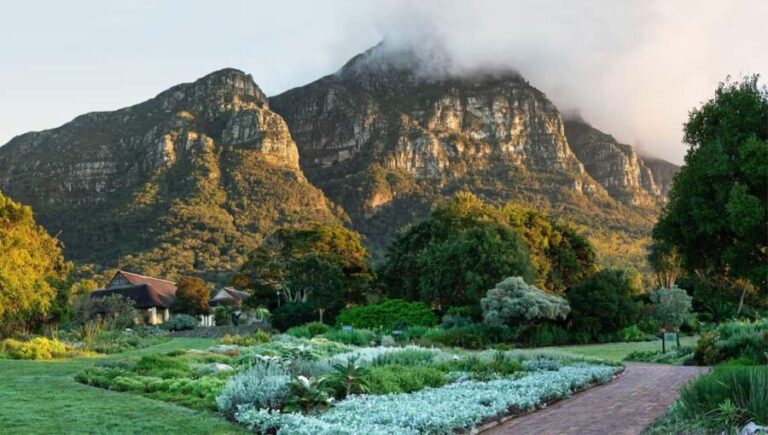 Cape Road Trip, Kirstenbosch Gardens Tour, 3-Course Lunch - A Closer Look at the Highlights