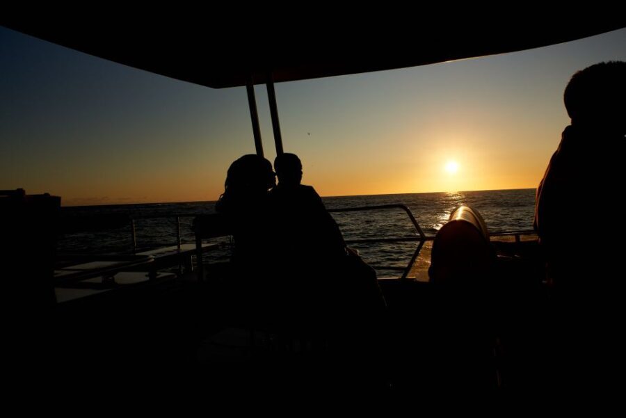 Cape Town: 1.5-Hour Luxury Sunset Cruise with Prosecco - Practical Tips for Travelers