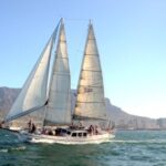 Cape Town: 1-Hour Pre-Sunset Champagne Cruise - Authentic Tips Based on Reviews
